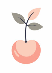 Abstract Peach Fruit with Stem and Leaves on White