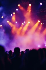 Silhouetted crowd at a concert with colorful stage lighting.