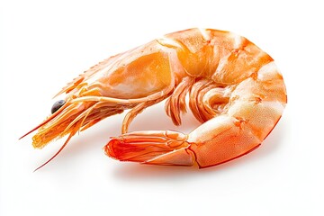 Prawn slice isolated on white background 