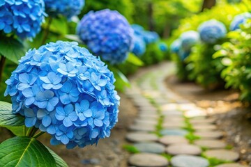 A cluster of light blue flowers in a garden with a stone path, garden scenery, flower, stone pathway