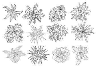 Set of different house plants top view. Cactus, aloe, monstera, palms black line art icons for landscape, architectural, interior design. Hand drawn Vector sketch isolated