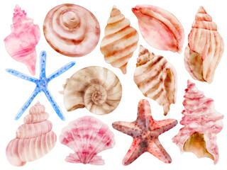Watercolor Seashells and Starfish Illustration Set, Ocean Beach Collection, Nautical, Marine Life, Shells, Starfish, Conch, Spiral Shell