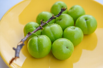 Fresh ripe green plums on yellow plate with branch on isolated white background surface