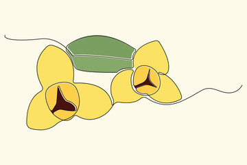 Hand-drawn Romduol flower line art drawing. Cambodia National Flower linear icon vector.