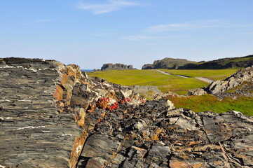 Northern landscape, the landscape of the Arctic cliffs at Cape Kekursky