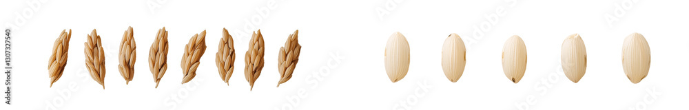 Poster the top view of macro isolated wheat grains is set against a white background
