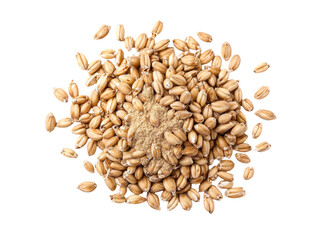 Obraz premium A top view of spelt bran and grains is presented in isolation against a white background