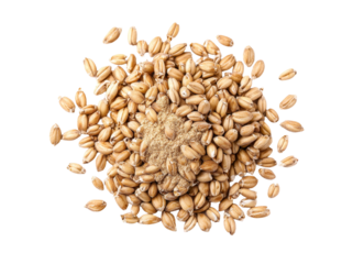 A top view of spelt bran and grains is presented in isolation against a white background