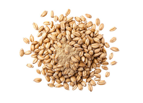 A top view of spelt bran and grains is presented in isolation against a white background