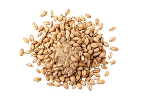 A top view of spelt bran and grains is presented in isolation against a white background