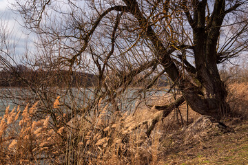 Przedwiośnie nad Stawami Dojlidzkimi,Podlasie, Polska © podlaski49