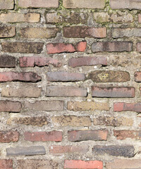 Old Colored Brick Wall Covered In Moss