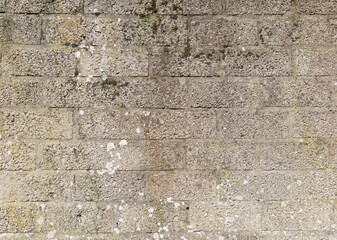 Aged Gray Brick Wall With Moss
