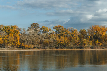 autumn look with trees by the danube river waters in hungary