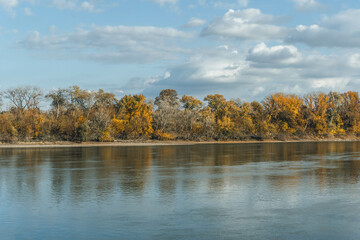 autumn look with trees by the danube river waters in hungary