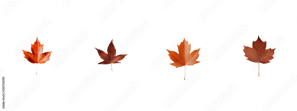 Poster the image focuses on a lone dried orange tree leaf positioned on a table featuring a distinctive woo