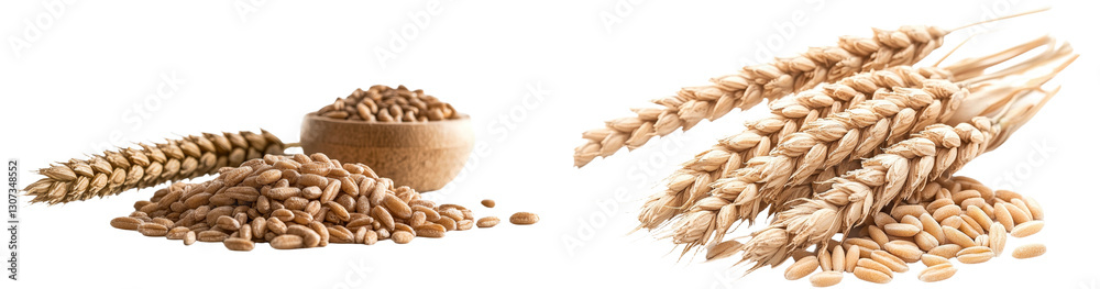 Poster ripe ears of wheat with their kernels are depicted against a plain white backdrop