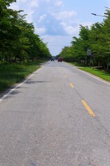 Scenic Country Road Lined with Lush Greenery under a Summer Sky