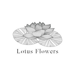 monoline vector illustration lotus flower sketch negative space.