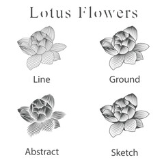monoline vector illustration lotus flower sketch negative space.