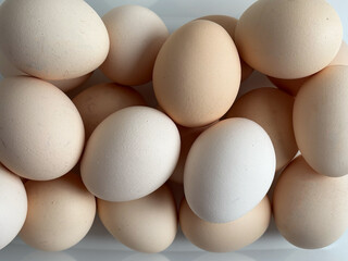 Chicken eggs close-up. Texture and background. Place for text.