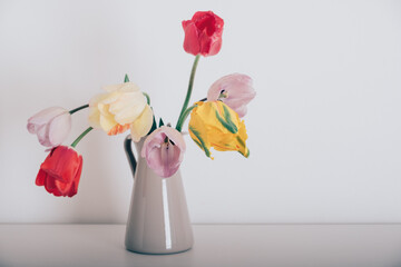 Beautiful bunch of multicolored terry tulip flowers in full bloom in vase against white background. Minimalist spring still life. Copy space for text.