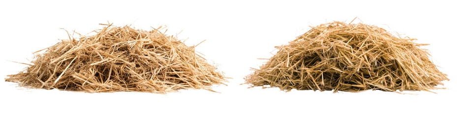Isolated on white, the texture of a pile of straw is prominent