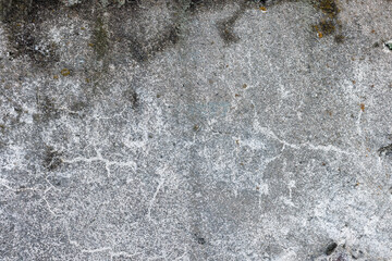 Rough flat poured concrete retaining wall with a weathered whitewash texture small moss and mold spots and cracks