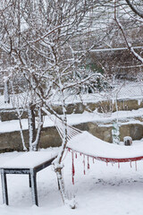 snow