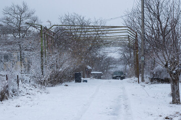 Fototapete bei efototapeten.de bestellen   