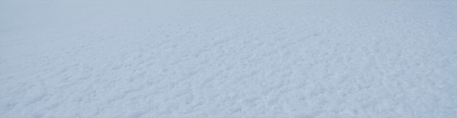 Fototapeta premium Winter white snow surface background