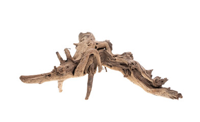 Wooden snag, Driftwood or aged wood isolated on white background