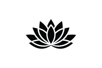 Fototapeta premium lotus flower isolated on white background