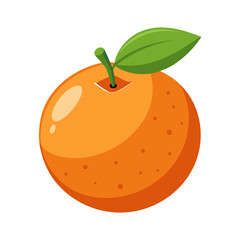 orange fruit vector illustration isolated on a transparent background