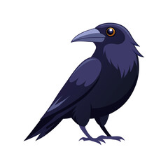 crow isolated on a transparent background