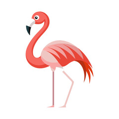 pink flamingo isolated on a transparent background