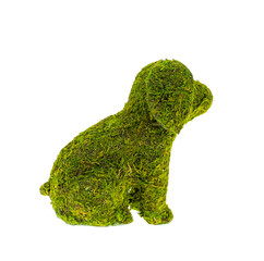 green bush sculpture in shape of dog