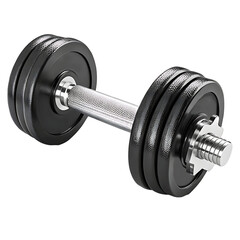 Naklejka premium Realistic Steel Dumbbell with Chrome Handle