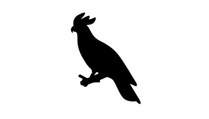 Fototapeta premium Silhouette of a perched bird on a branch