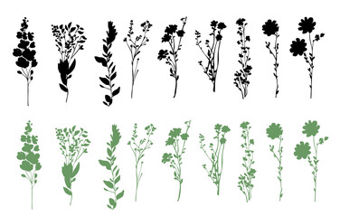 Vector silhouette of field flowers, silhouette of the grass set, meadow tiny flowers and grass, wildflowers summer herbs, simple small flowers on a stem, bouquets, architectural element, side view,