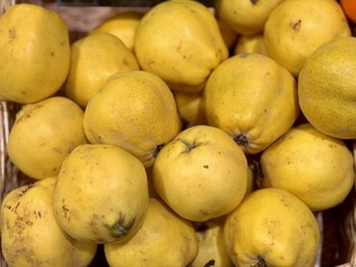 Ripe, fresh, yellow quinces in baskets on sale at the market in the grocery store, fruits and vegetables. Close-up