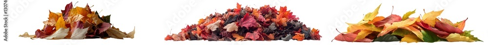 Poster the image features a mound of leaves with autumn colors set against a white background