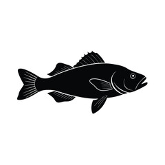 Sea Bass Silhouette Vector Art and Black Sea Bass Fish Design Illustration
