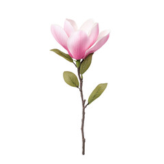 Elegant pink magnolia flower on a slender branch