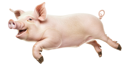 Happy pig jumping joyfully in mid-air with bright energy during a sunny day
