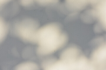 The shadow of the sun shining through the wood
