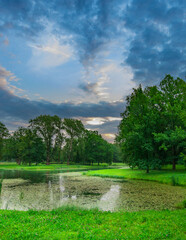 Serene park scene with a pond and trees
