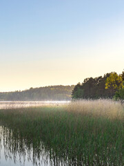 Lake with a forest in the background