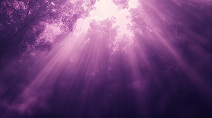 Sunlight through purple forest canopy