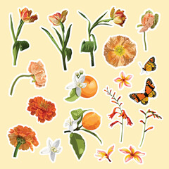 Set of orange garden flowers, butterfly, citrus fruits elements. Set of stickers, pins, patches and handwritten notes collection stikers kit.